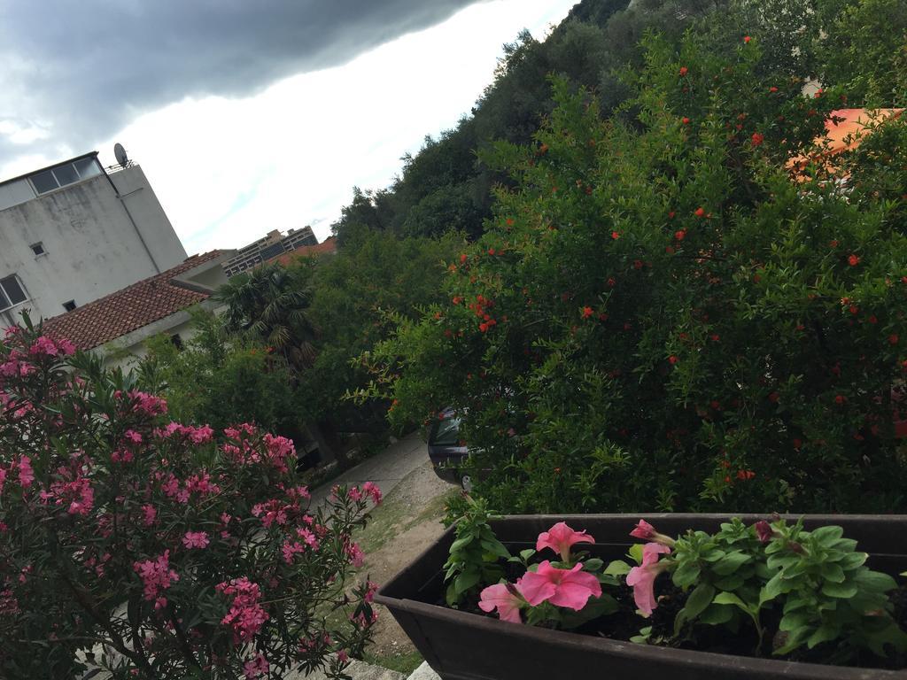 Appartamento Ant Budua